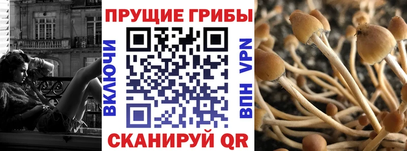 как найти закладки  Бирюсинск  Псилоцибиновые грибы мухоморы 